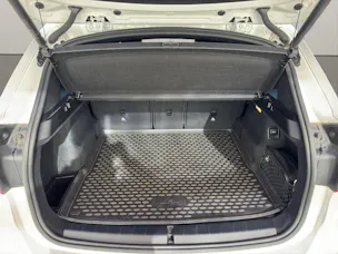 BMW X1 F48 20d xDrive