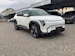 Kia EV3 81 kWh Earth+