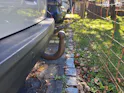 VW T6 2.0 TDI 4Motion DSG