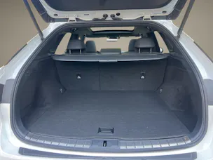 Lexus RX 450h+ Excellence