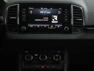 SKODA Karoq 2.0 TDI Selection-Lodge 4x4 DSG