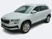 SKODA Karoq 2.0 TDI Selection-Lodge 4x4 DSG