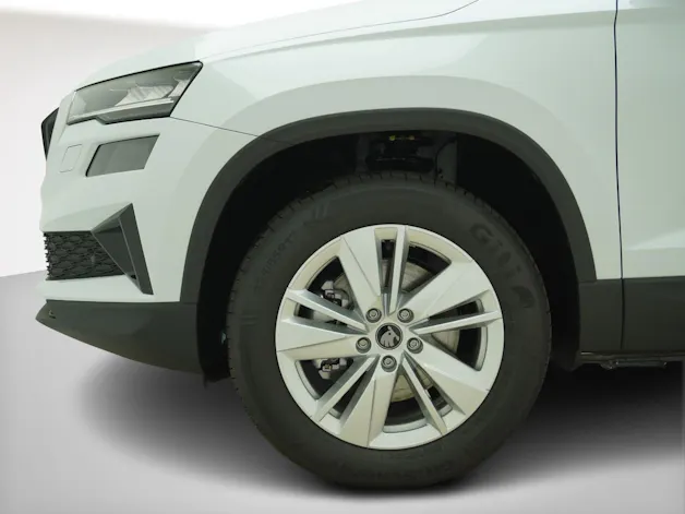 SKODA Karoq 2.0 TDI Selection-Lodge 4x4 DSG