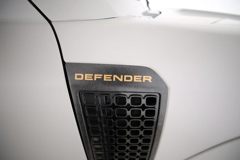 immagine del veicolo LAND ROVER DEFENDER