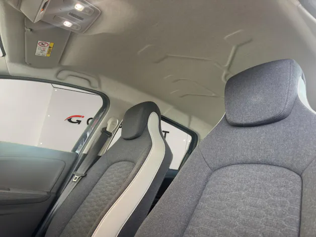 RENAULT Zoe FP R135 evolution inkl. Batterie