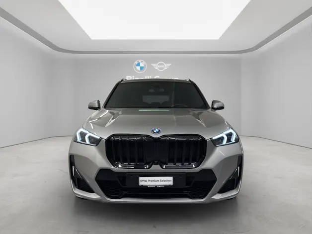 BMW X1 U11 30e xDrive paddles