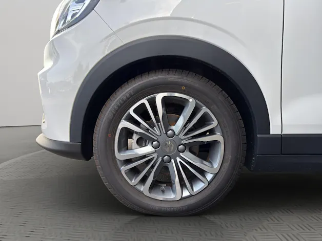 Leapmotor T03 Cargo