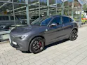 ALFA ROMEO Stelvio 2.9 V6 Quadrifoglio Q4 Automatic