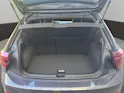 VW Polo 2.0 TSI GTI DSG