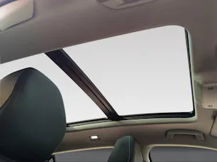 VW VW T-Roc Style 1.5TSI eHybrid / Vollausstattung