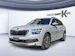SKODA Kamiq 1.0 TSI Clever DSG