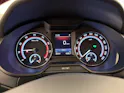 SKODA Octavia 2.0 TSI 245 RS DSG
