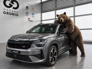 SKODA Kodiaq 2.0 TSI RS 4x4