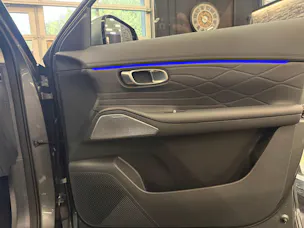 Geely Starray EM-i MAX + PHEV