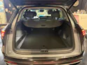 Geely Starray EM-i MAX + PHEV