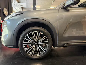 Geely Starray EM-i MAX + PHEV