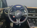 ALFA ROMEO STELVIO 2.9 V6 Biturbo Q4 Q