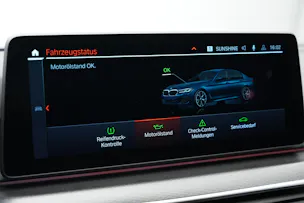 BMW 530i xDrive 48V M Sport Steptronic *Anhängerkupplung*