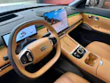 Geely Starray EM-i MAX + PHEV