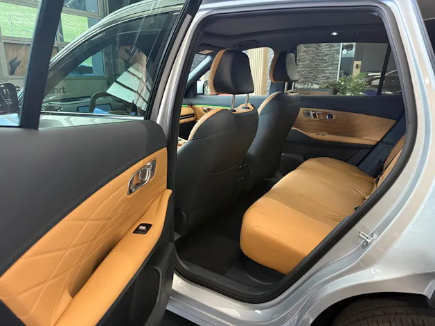 Geely Starray EM-i MAX + PHEV