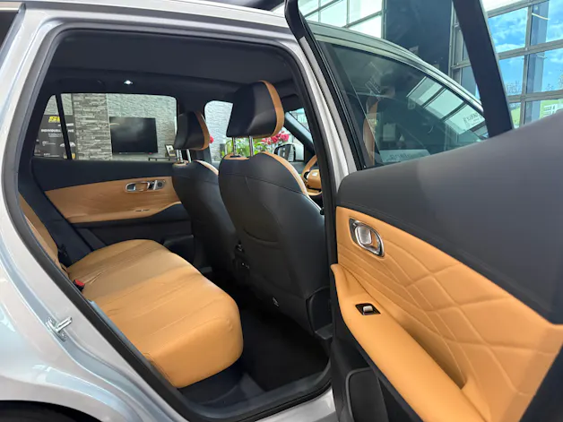 Geely Starray EM-i MAX + PHEV