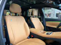 Geely Starray EM-i MAX + PHEV