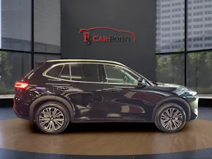 Geely Starray EM-i MAX + PHEV