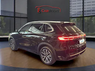 Geely Starray EM-i MAX + PHEV