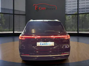 Geely Starray EM-i MAX + PHEV