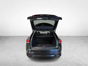 Lexus RX 500h F-Sport - Ruote invernali incluse