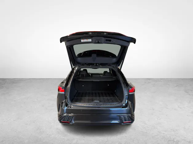 Lexus RX 500h F-Sport - Ruote invernali incluse