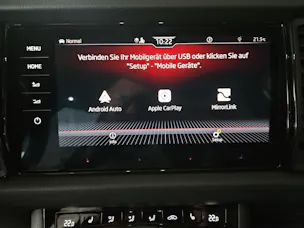 SKODA Kodiaq 2.0 Bi-TDI SCR RS 4x4 DSG