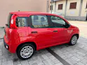 FIAT Panda 1.0 MHEV Cool