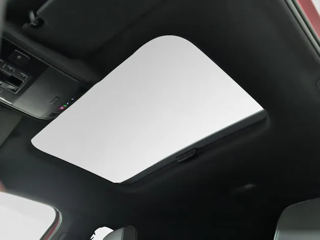VW Polo 2.0 TSI GTI DSG