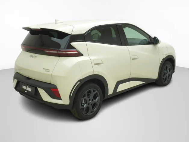 BYD Dolphin Surf Comfort