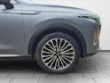 OMODA 9 PHEV SHS Exclusive AWD Swiss Edition (Grau Matt)