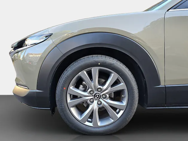 MAZDA CX-30 2.0/150 Exclusive-Line 4x4