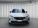 CUPRA Formentor 2.5TSI VZ5 Taiga Grey 4Drive DSG