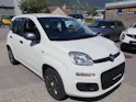 FIAT Panda 1.2 Young
