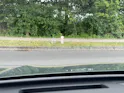 VW Tiguan 2.0 TSI DSG R-Line Plus 4Motion