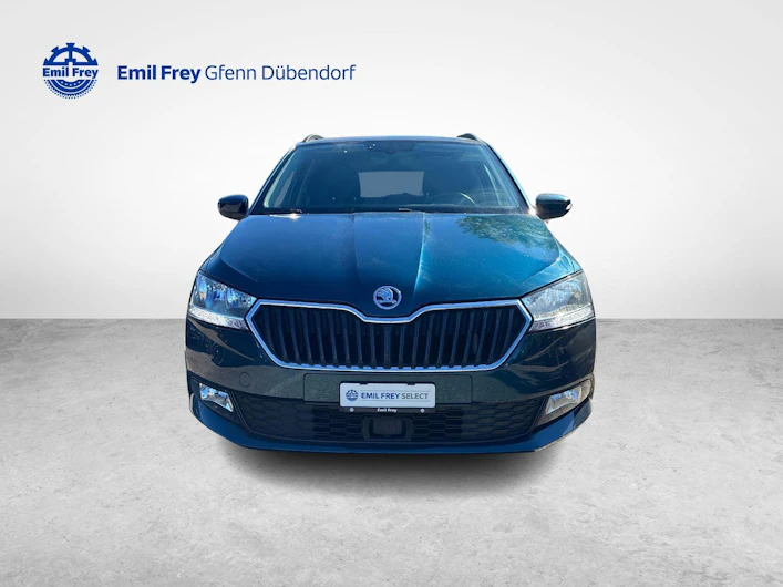Fahrzeugbild SKODA FABIA