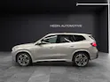 BMW X1 U11 20d xDrive paddles