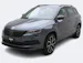 SKODA Karoq 2.0 TDI DSG Sport Line 4x4