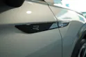 VW Tiguan 2.0 TSI R-Line DSG 4motion
