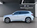 BMW X1 23i xDrive paddles