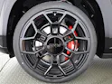 BMW XM G09 Label Plug-in Hybrid