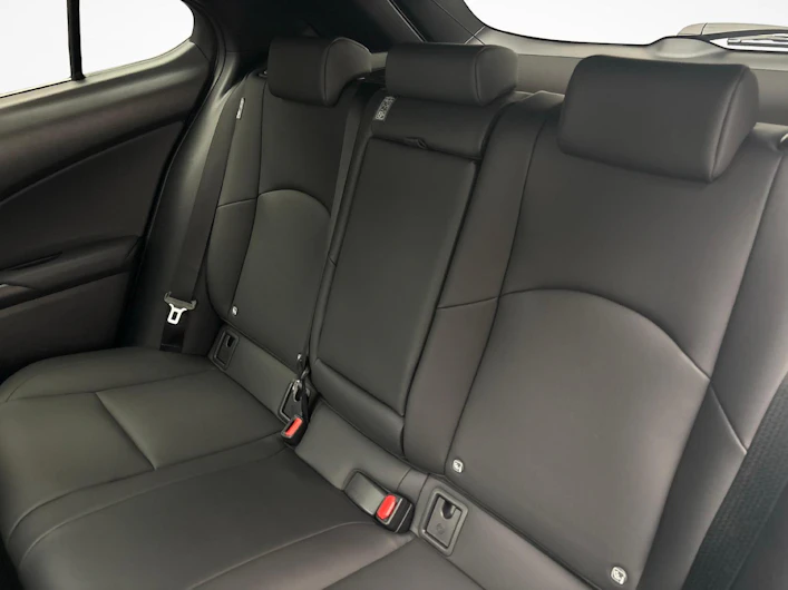 immagine del veicolo LEXUS UX