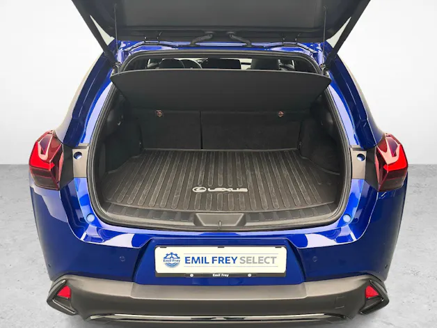 Lexus UX 250h F-Line