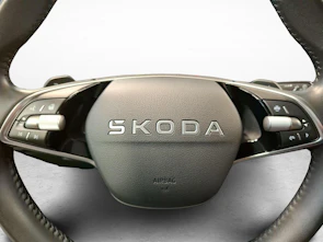 Fahrzeugbild SKODA Fabia 1.0 TSI Selection DSG