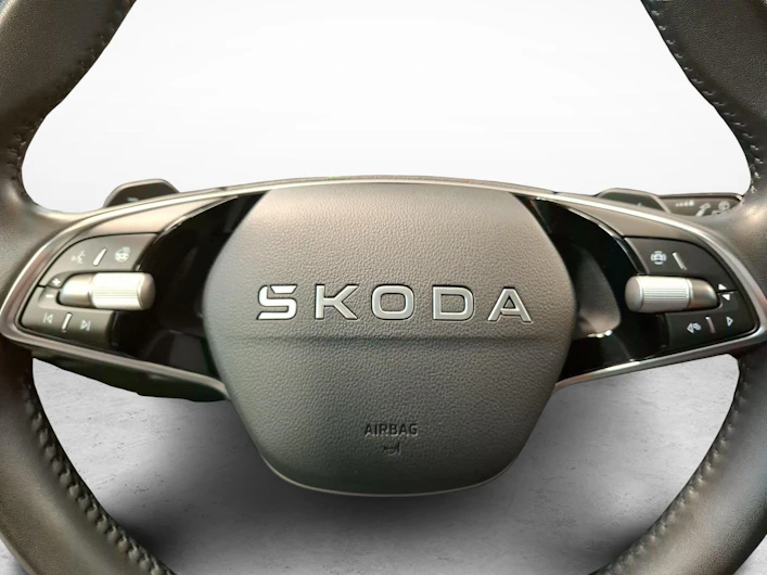 Fahrzeugbild SKODA FABIA